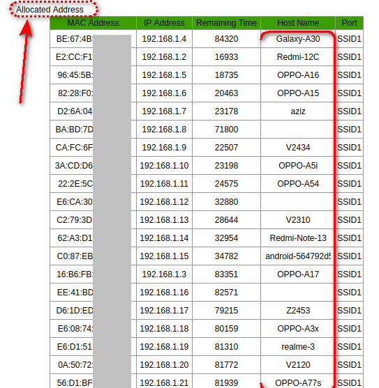 Allocated IP Address