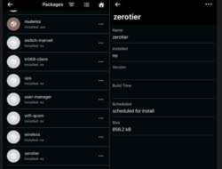 Kenapa ZeroTier Tidak Bisa Terinstal di Mikrotik RB5009 ROS 7? Ini Solusinya!